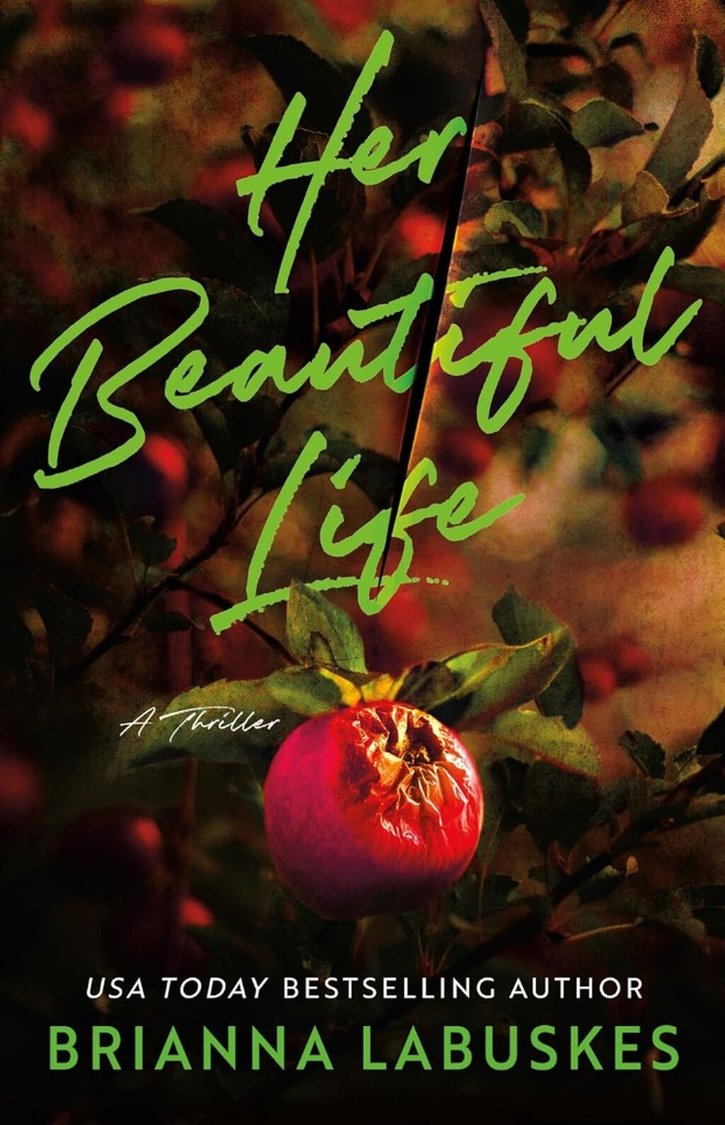 Order HER BEAUTIFUL LIFE by Brianna Labuskes