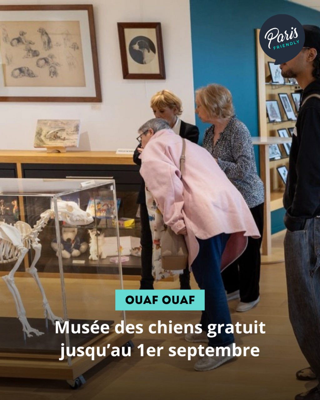 Mus&eacute;e des chiens gratuit jusqu&rsquo;au 1er septembre