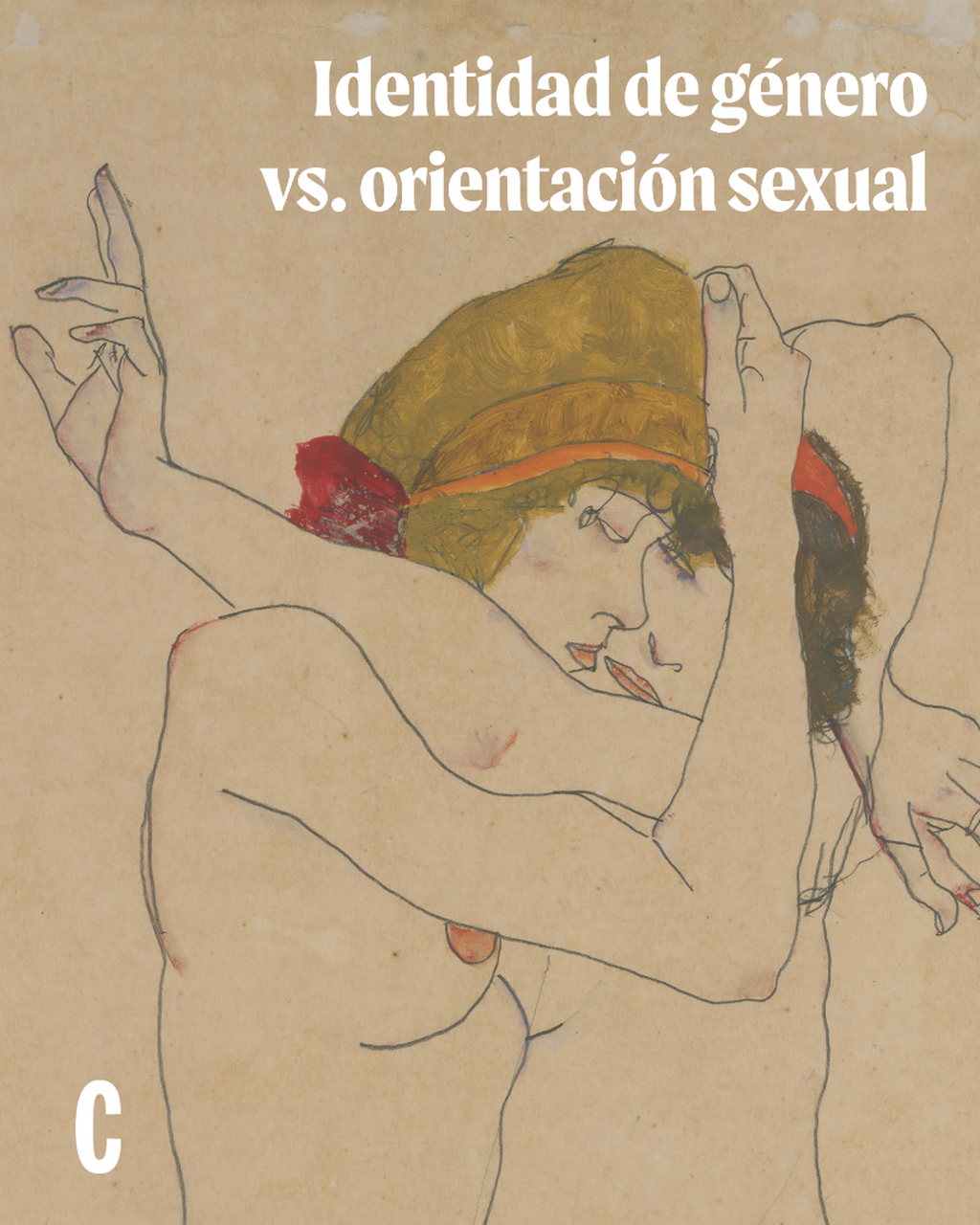 &iquest;Cu&aacute;l es la diferencia entre identidad de g&eacute;nero y orientaci&oacute;n sexual?