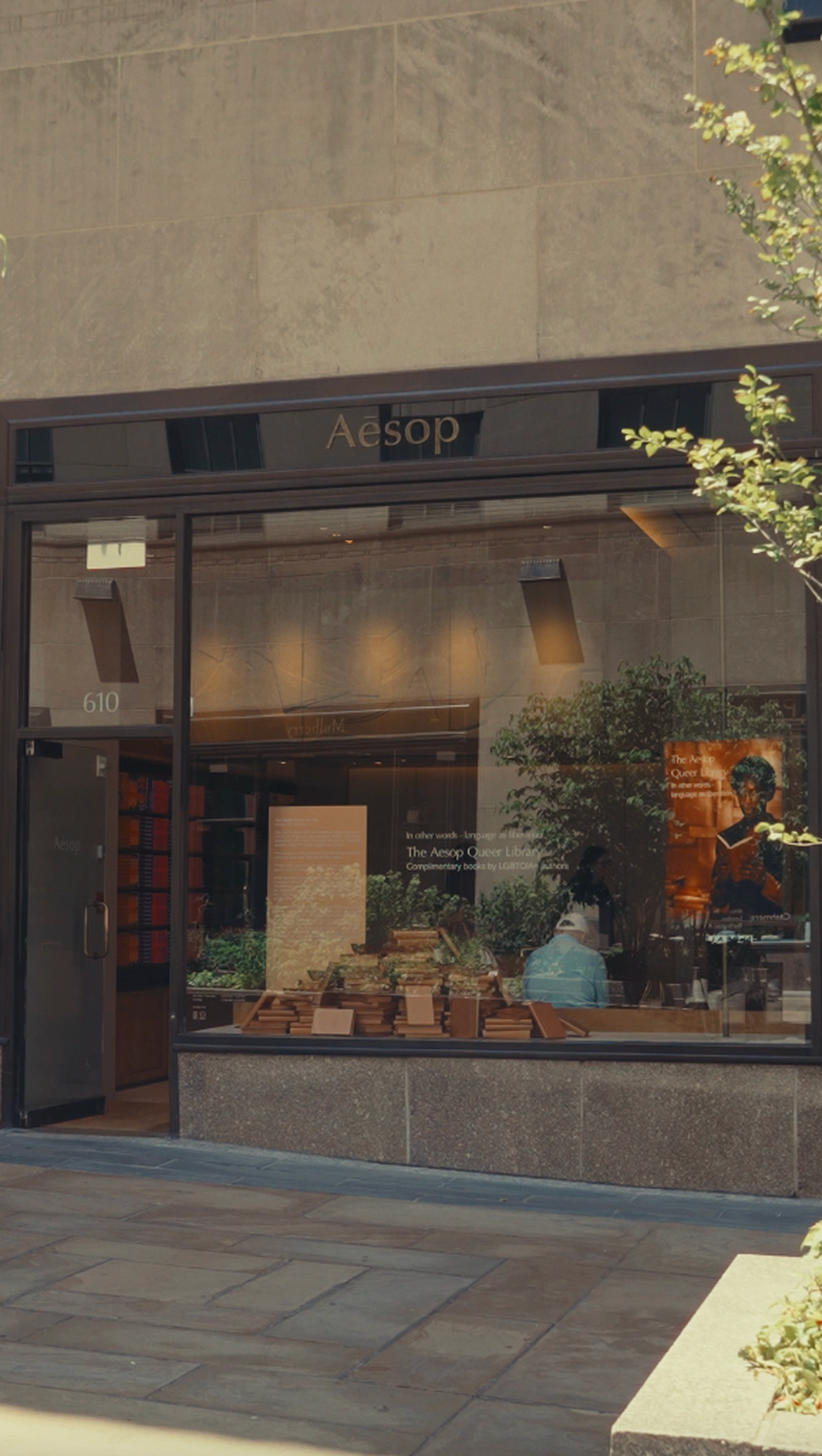 The Aesop Queer Libraries North America