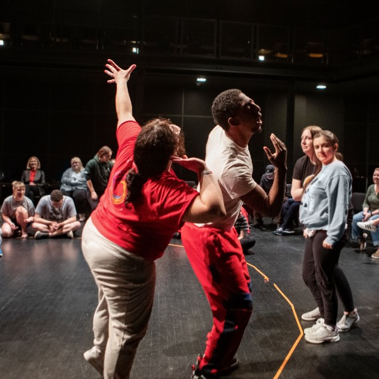 Shakespeare and Autism