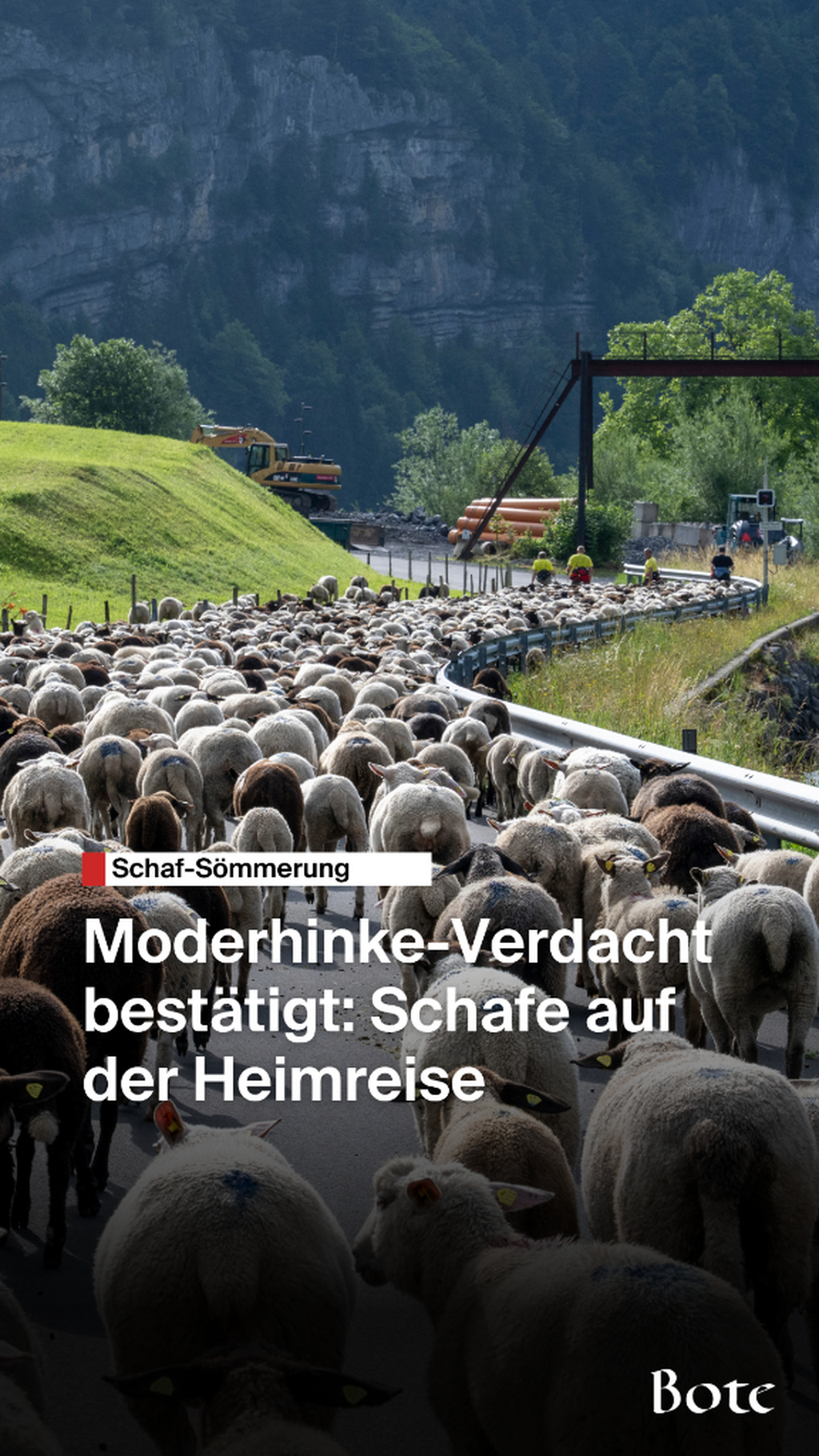 Moderhinke-Verdacht best&auml;tigt