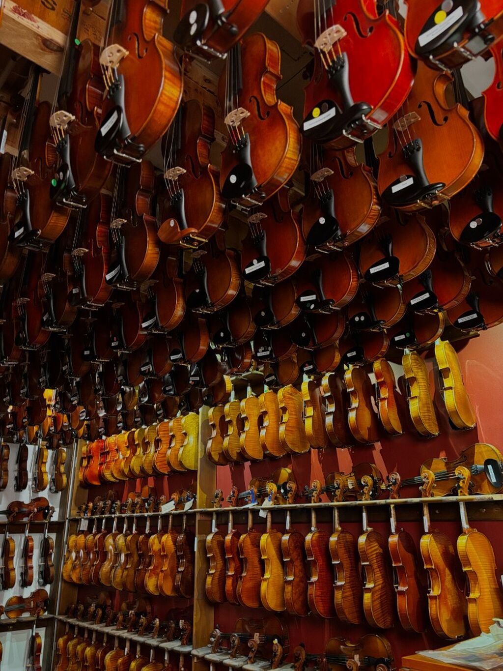 Animato Strings Online Store