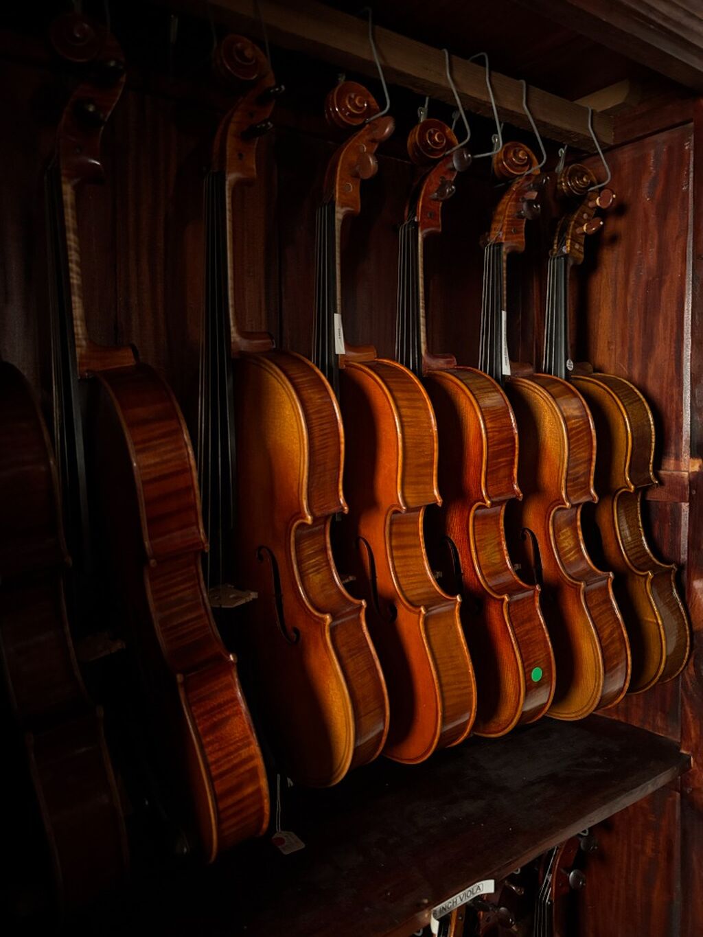 Animato Strings Facebook Page