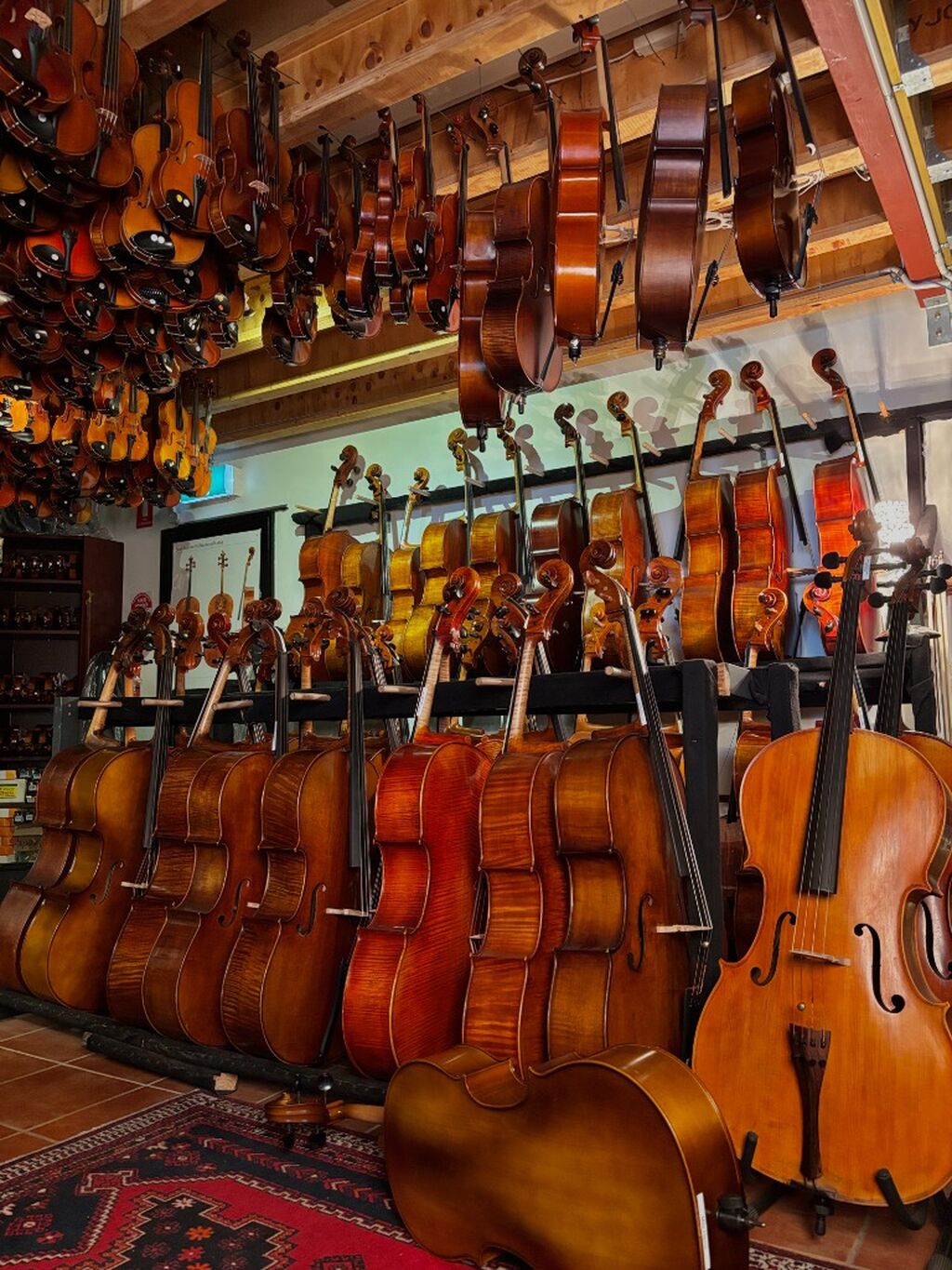 Animato Strings Tiktok Page