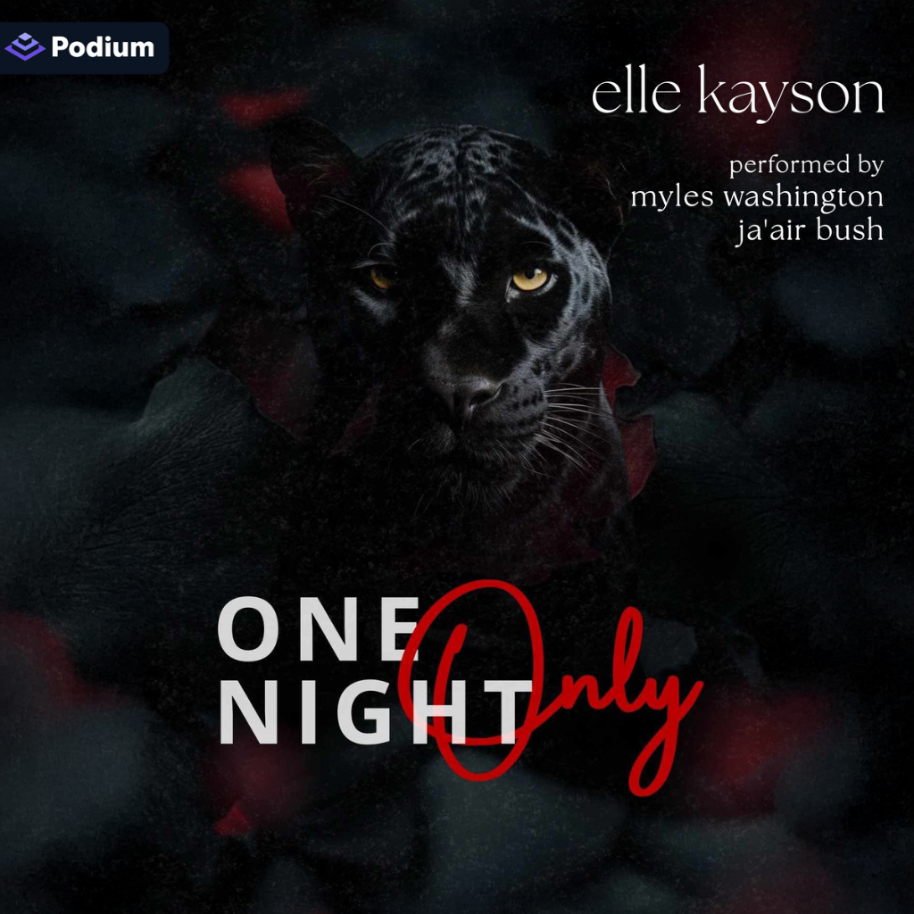 (Audiobook) One Night Only by elle kayson