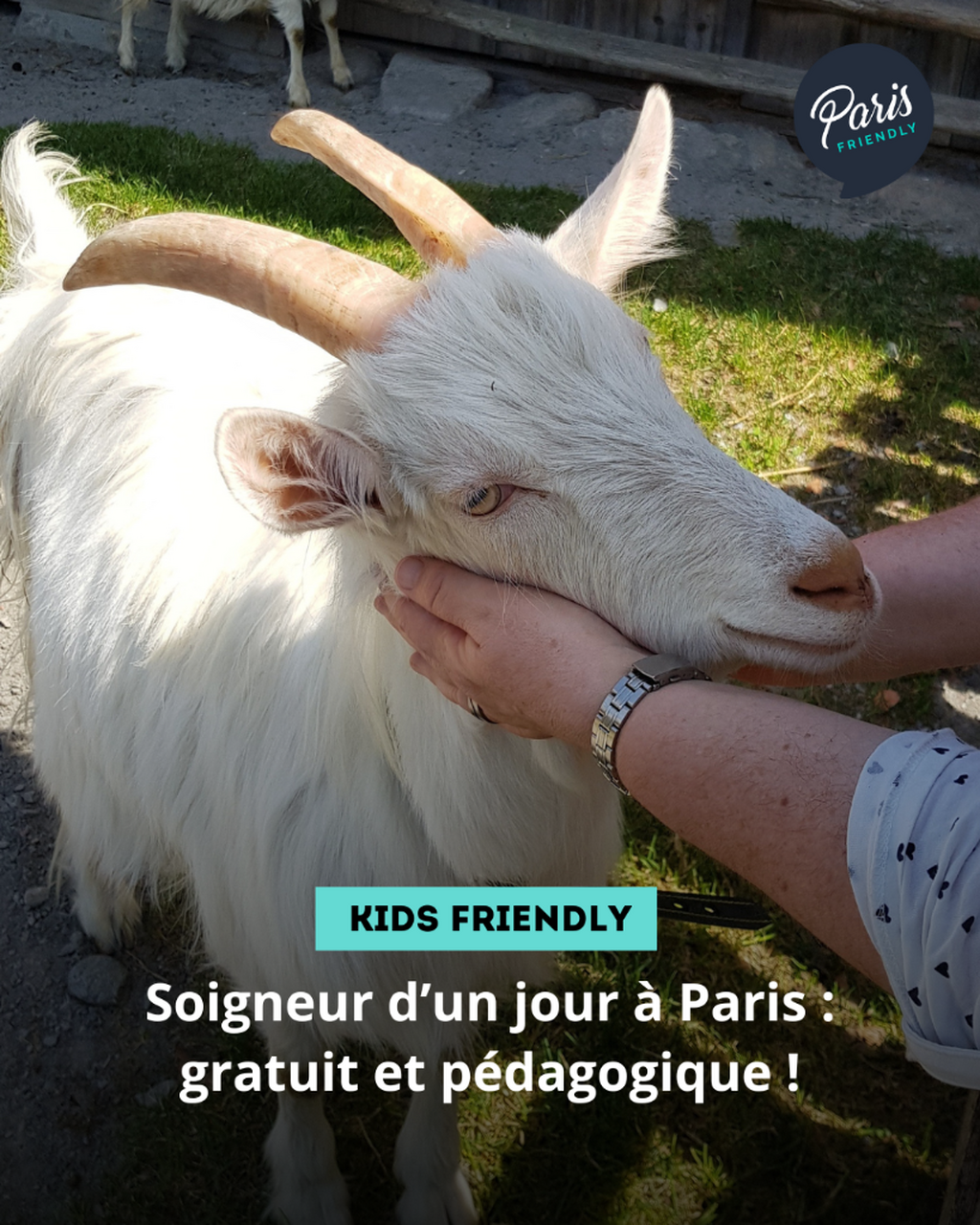 Soigneur d&rsquo;un jour &agrave; Paris : gratuit et p&eacute;dagogique !