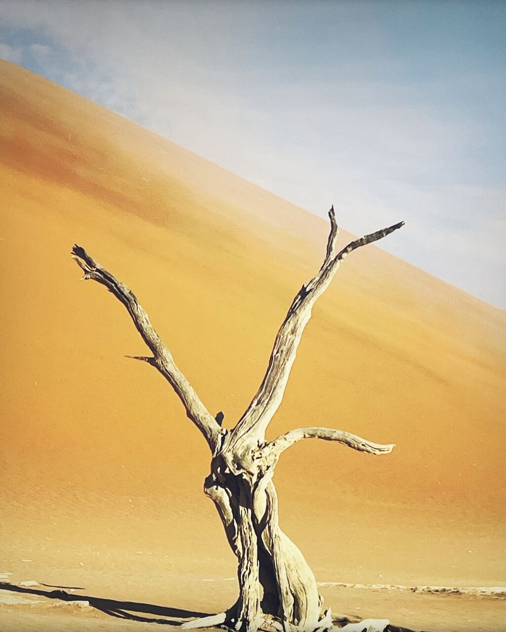 Namibia Print Story
