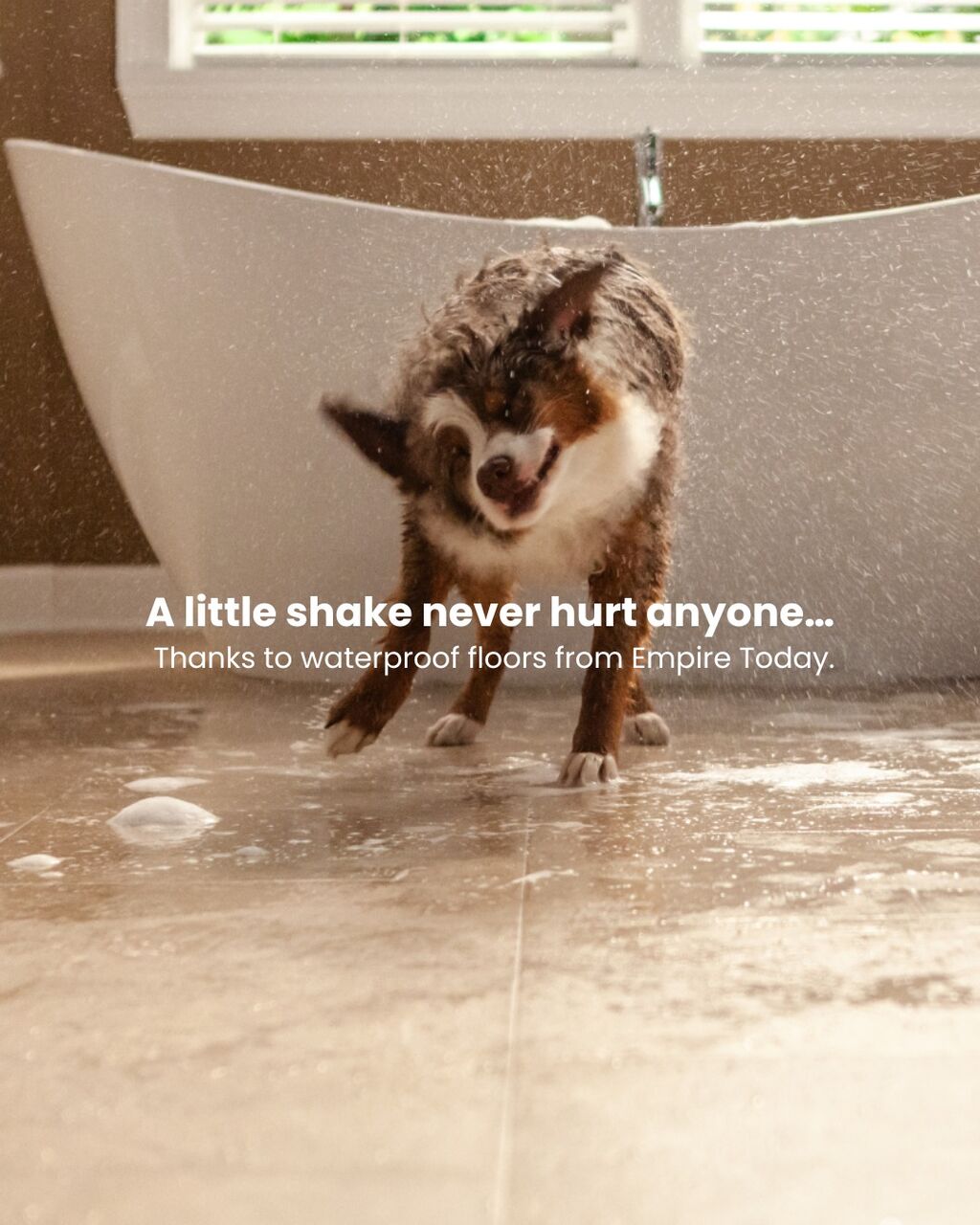 Floors Protected Against Water AND Pets