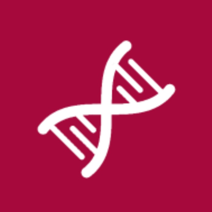 Catalyst Grant Rounds