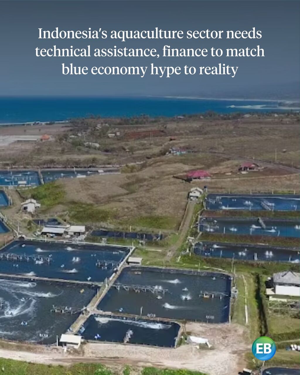 Indonesia&rsquo;s aquaculture sector needs technical assistance, finance to match blue economy hype to reality: experts