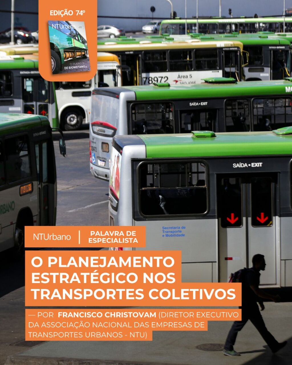 PALAVRA DE ESPECIALISTA