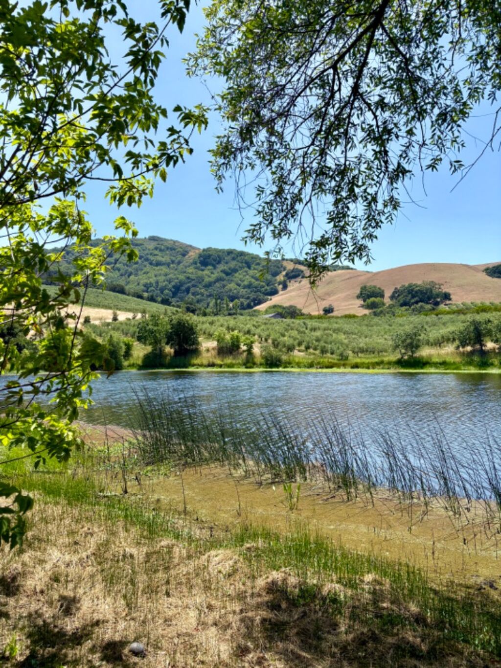 Scenic Ranch Cart Tour