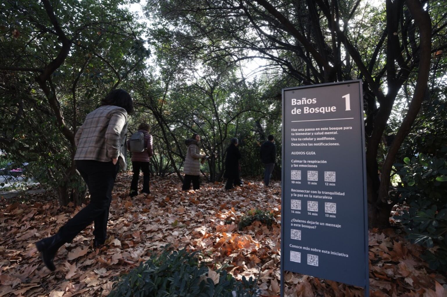 UC estrena el primer circuito de ba&ntilde;os de bosque en un campus universitario de Chile