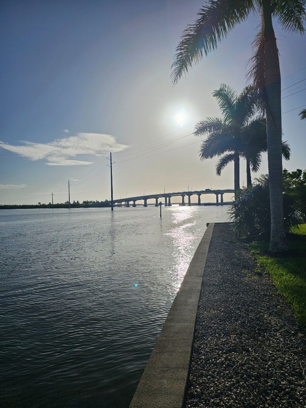 🎥 Video  Untold Stories Marco Island 