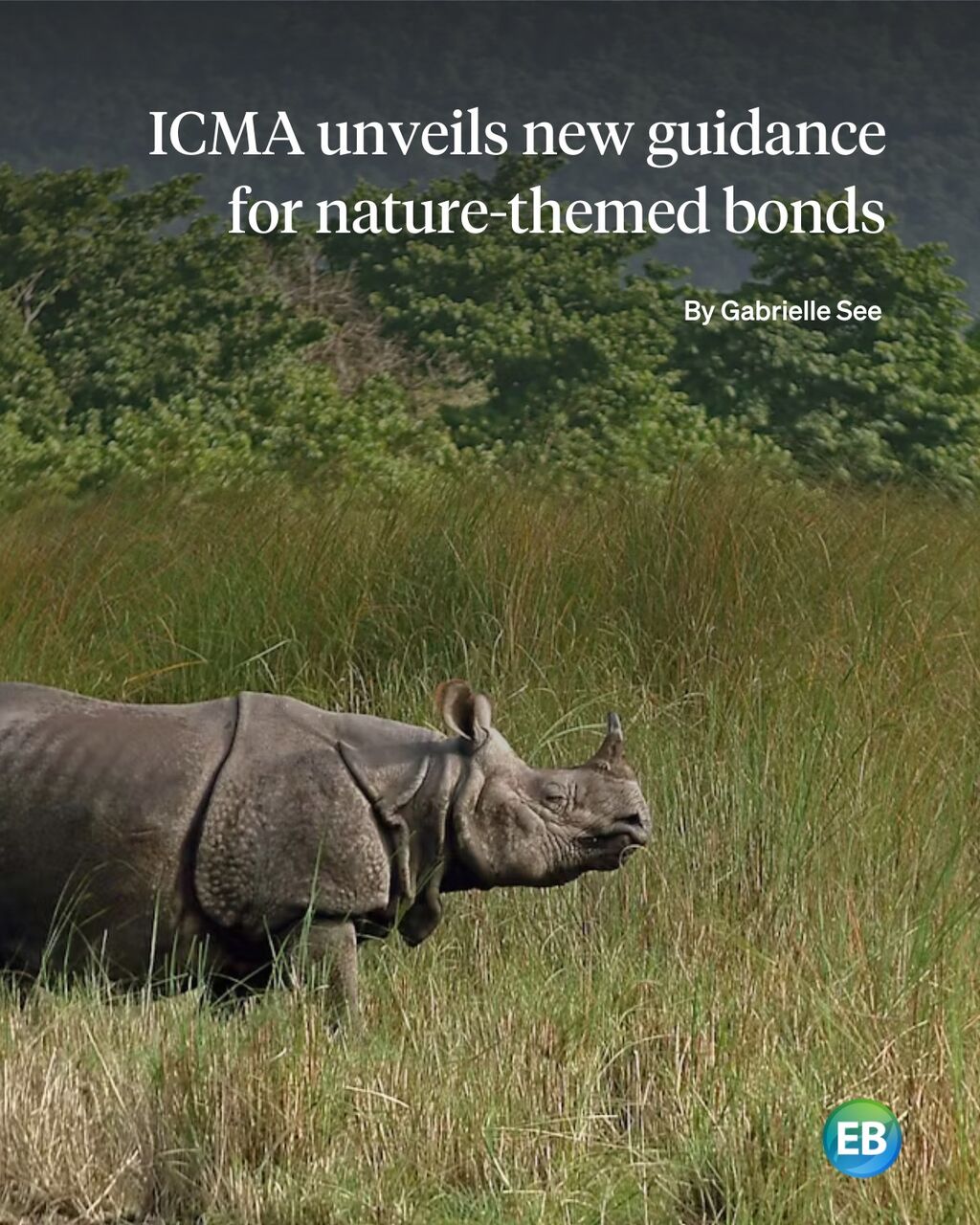 ICMA unveils new guidance for nature-themed bonds