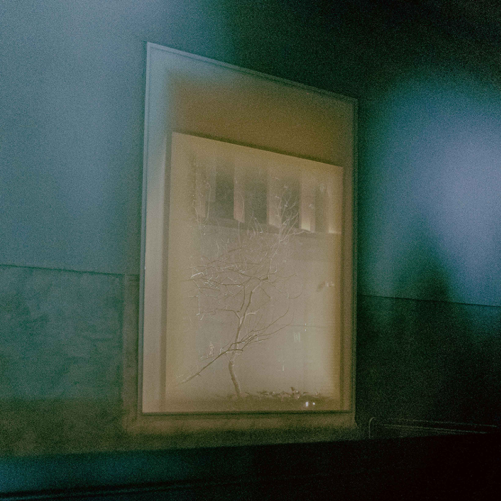 Phoenix Alumni Recent Releases | Bandcamp