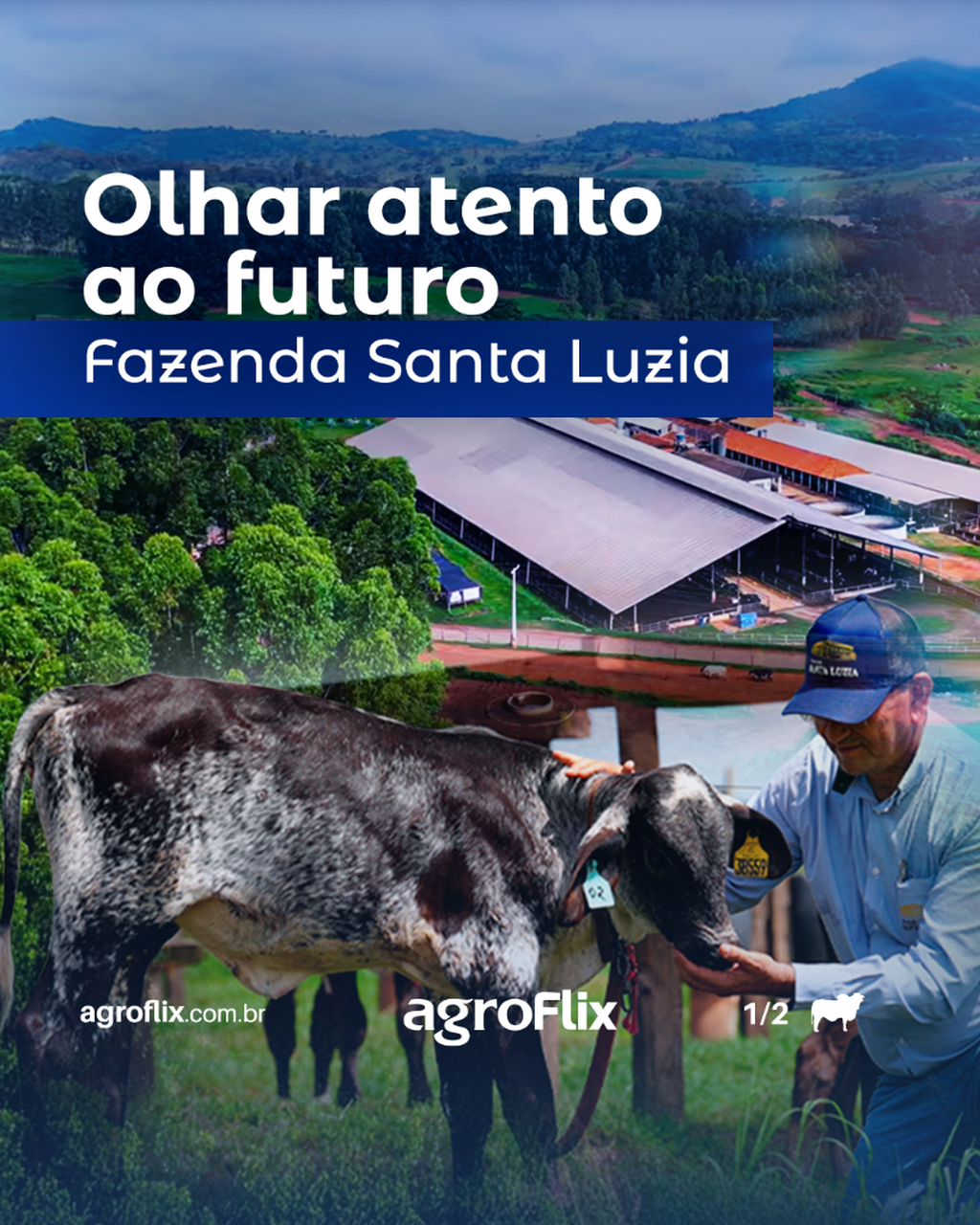 Na Fazenda Santa Luzia, excel&ecirc;ncia produtiva e respeito caminham juntos. Acesse j&aacute; o agroFlix e confira o v&iacute;deo produzido pela Revista Leite Integral. 