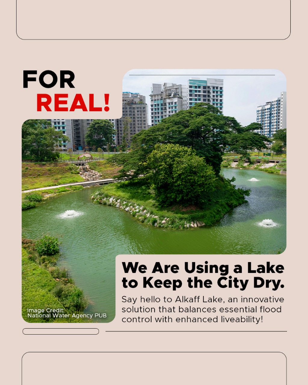 Alkaff Lake to the Rescue!