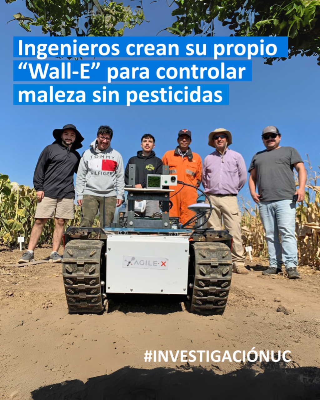Robot chileno igual a Wall-E corta maleza sin usar pesticidas