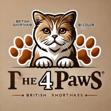 The_4_Paws