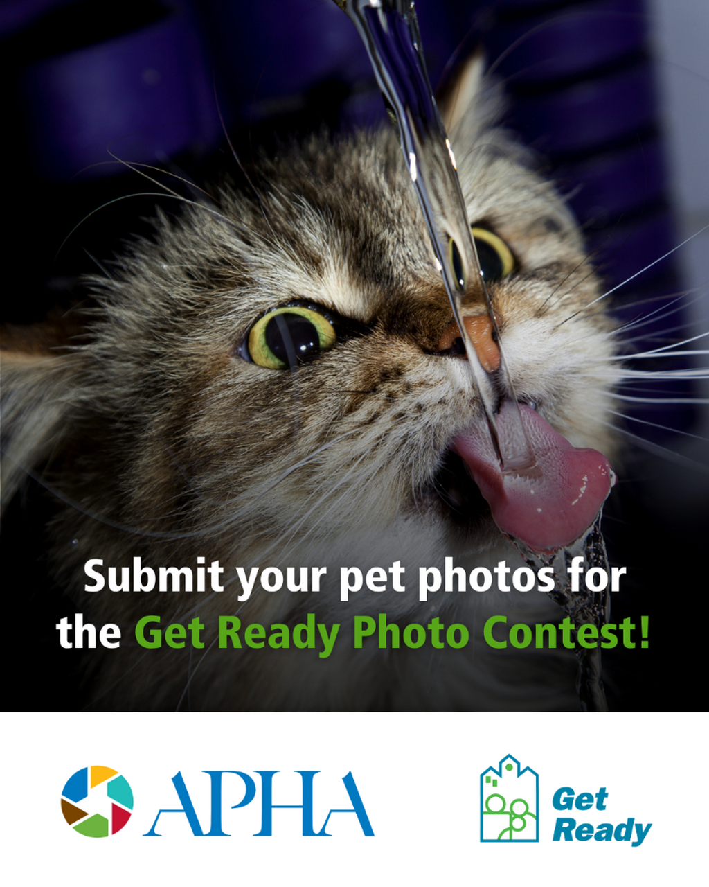 Get Ready Calendar Submissions are Open! 