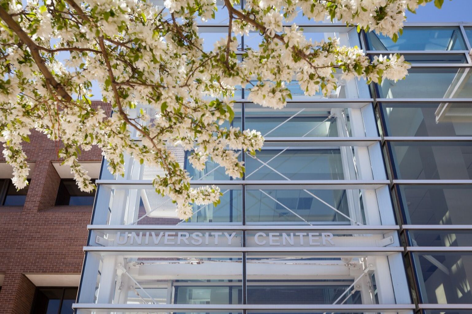Continue Your Education with UCCS!