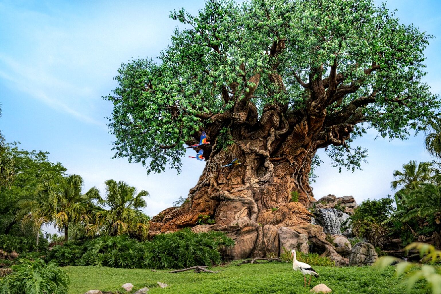 Walt Disney World Overview