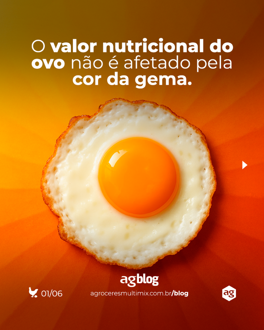 Acesse o agBlog e confira os principais fatores que influenciam a colora&ccedil;&atilde;o da gema.