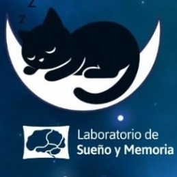 Estudio Contenido On&iacute;rico