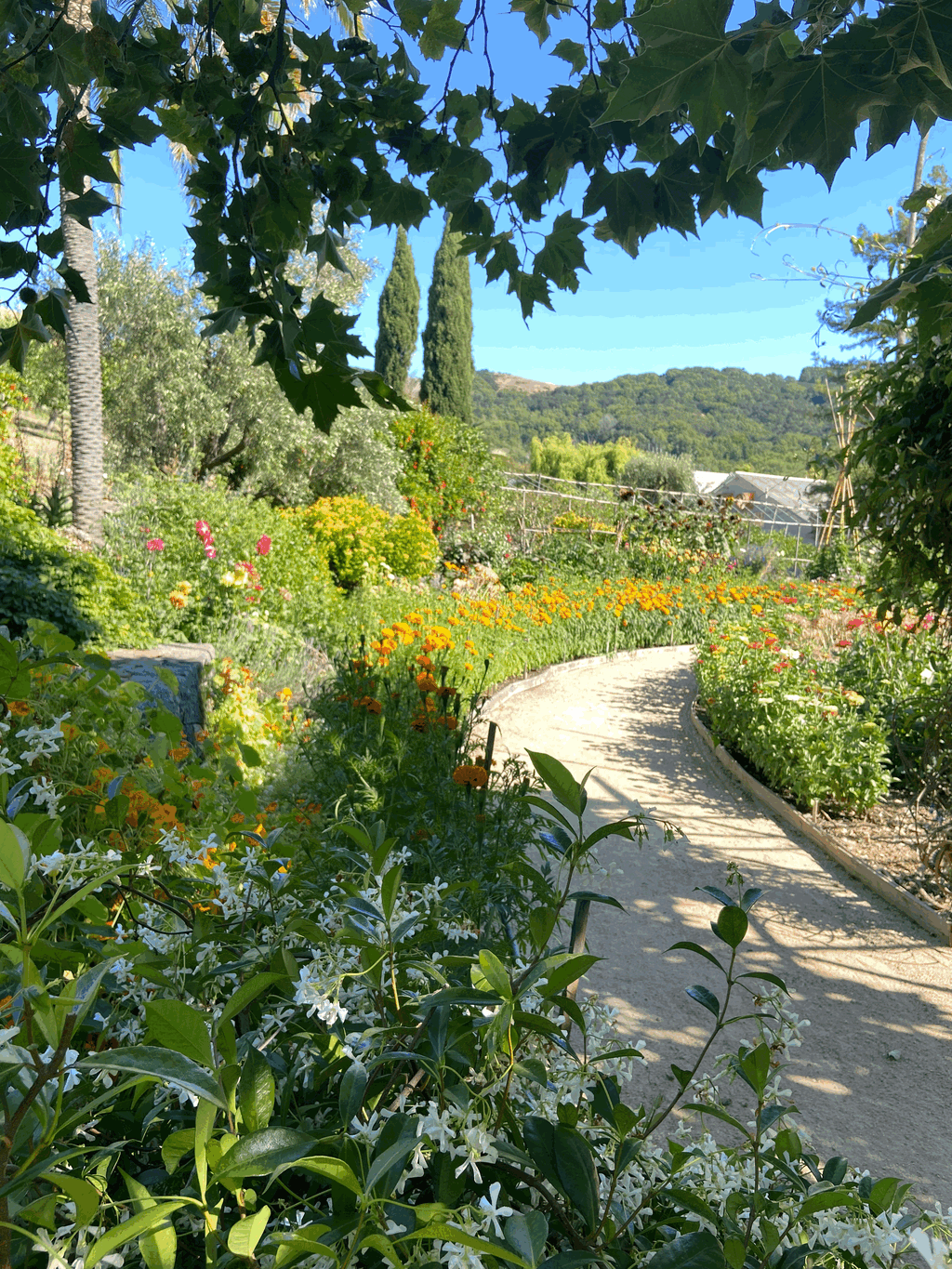 Social Club: Garden Tour & Tasting