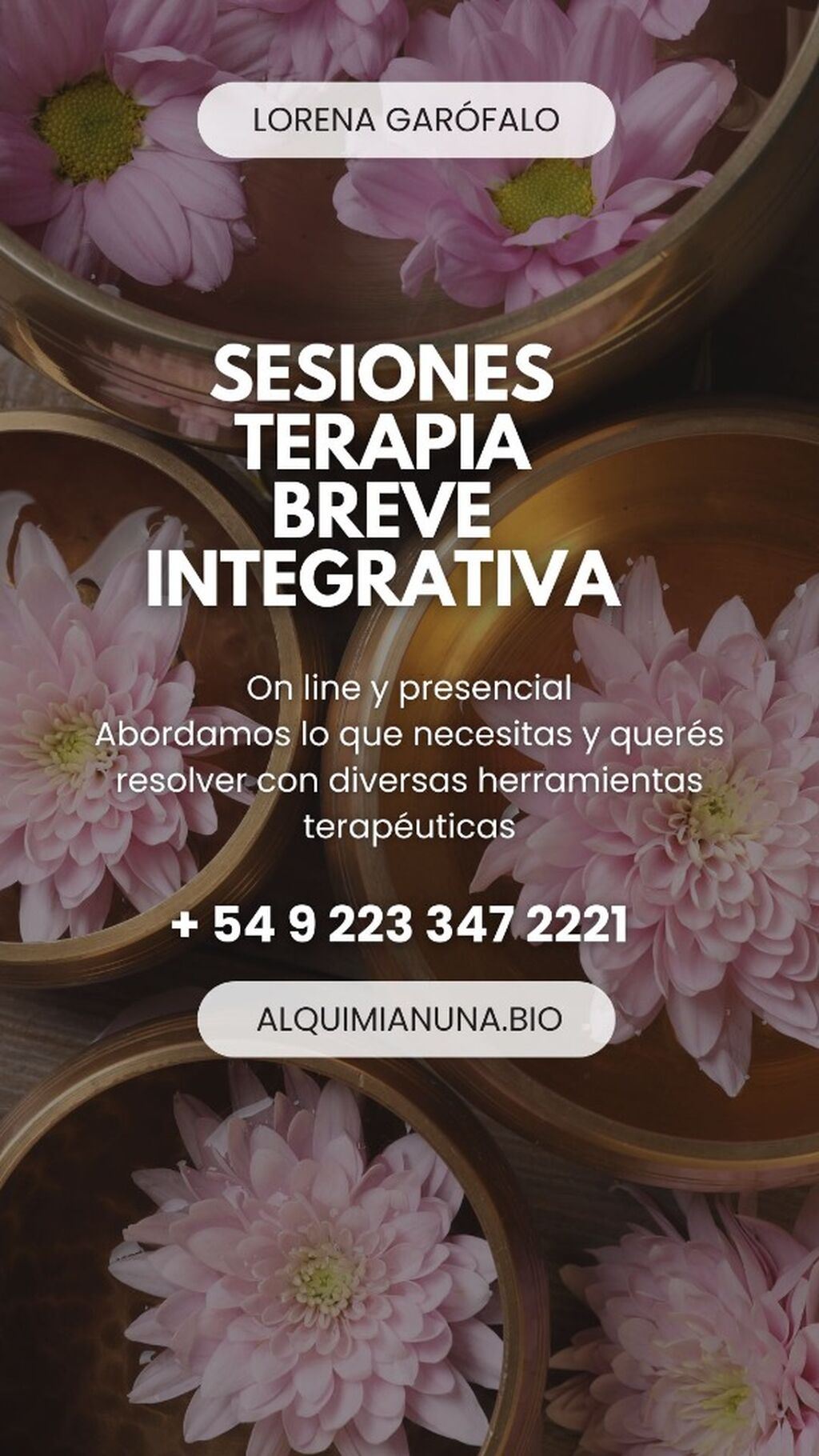 Sesiones de Psicoterapia Floral - Hipnosis - Terapia Polivagal 