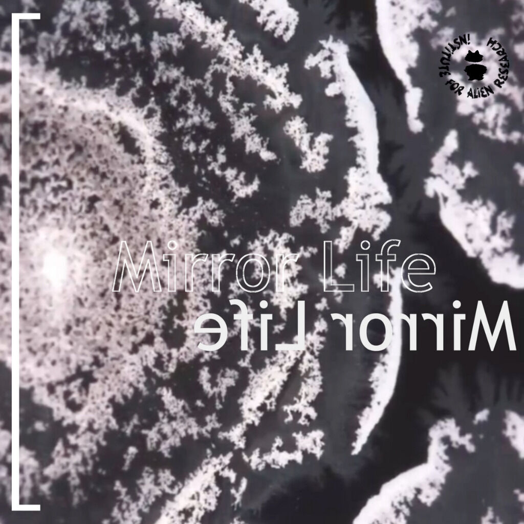 Mirror Life - radio temperamental on the Musique Concréte compilation album 