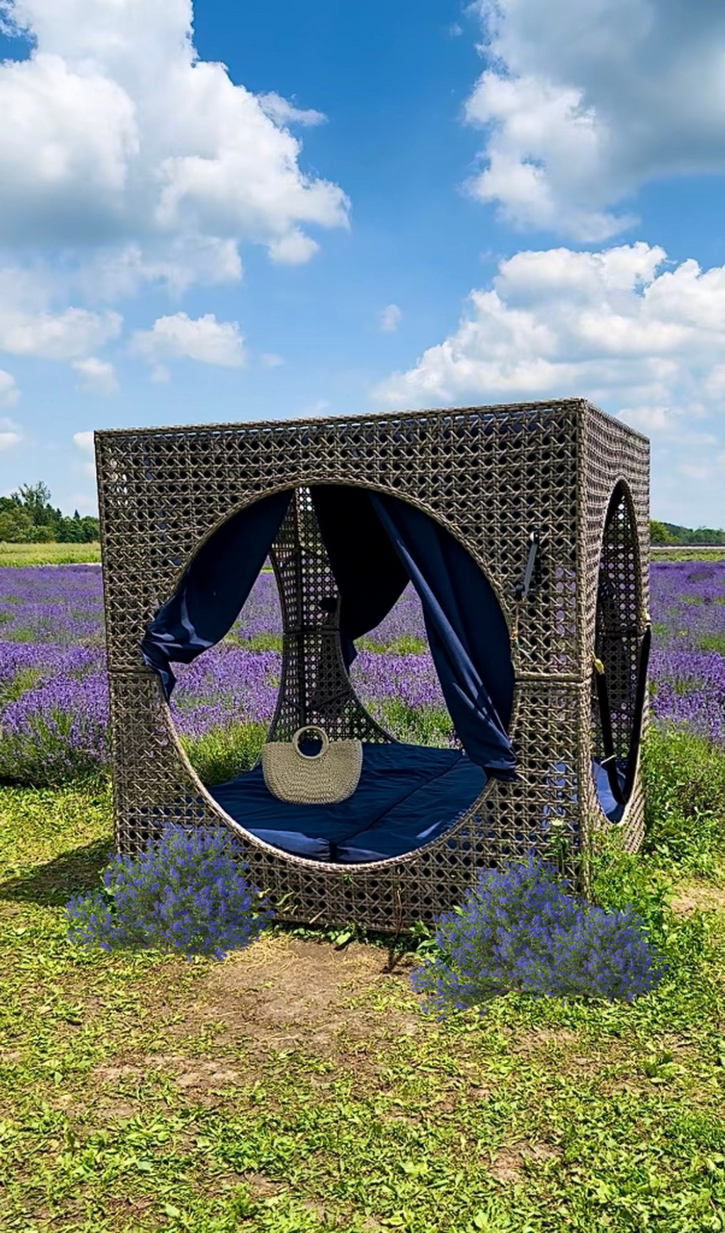 Avalon Lavender Farm