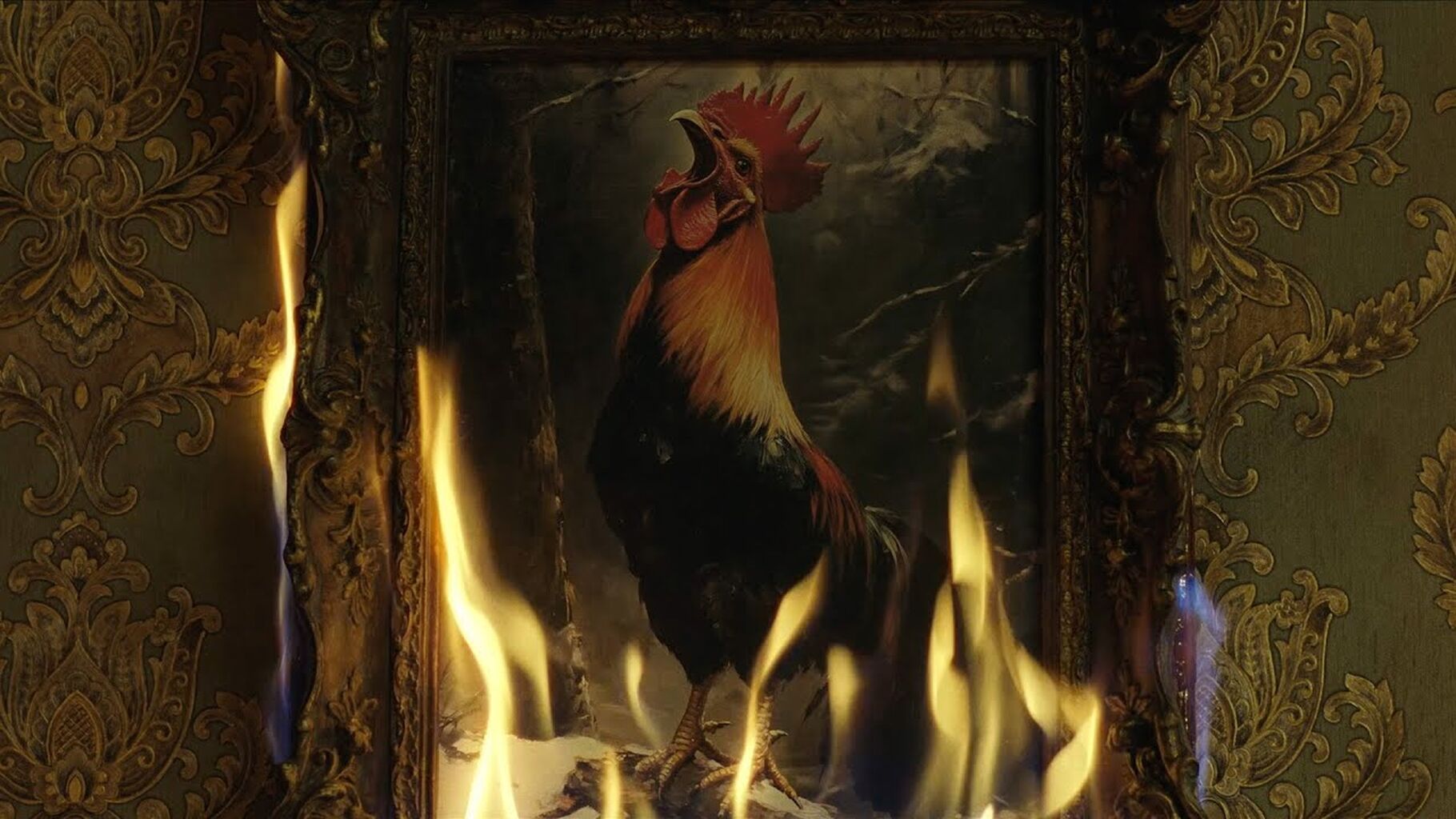 PETA links eating meat to worsening wildfires in grim cinema ad