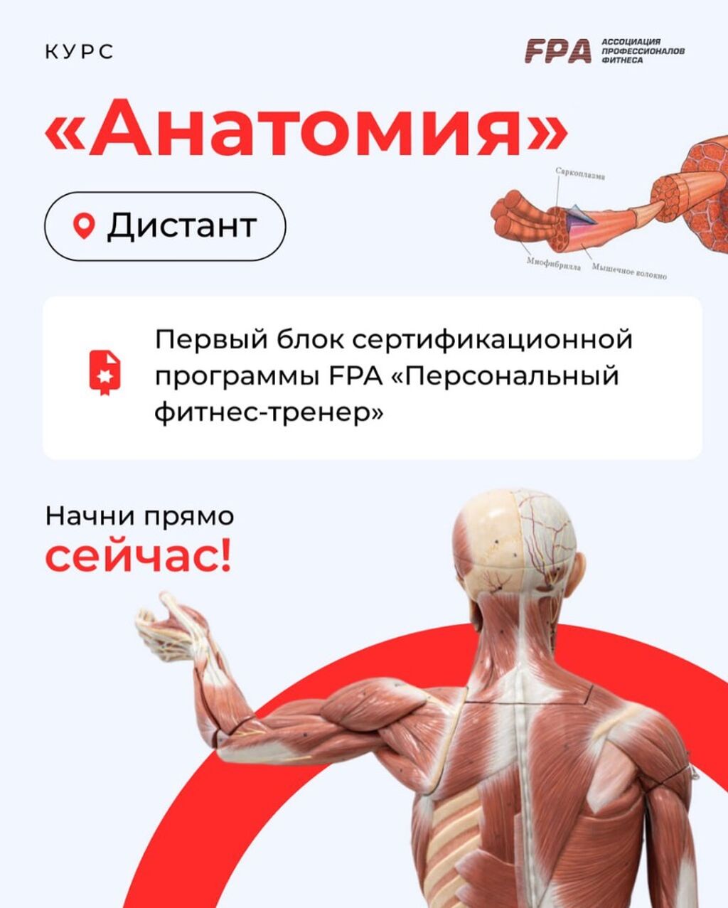 Курс