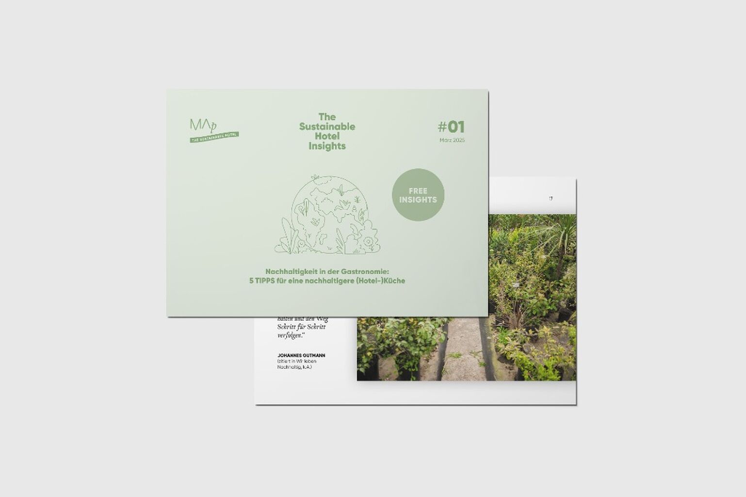 Kostenfreier Guide von MAp Consultancy und Balteschwiler Consulting