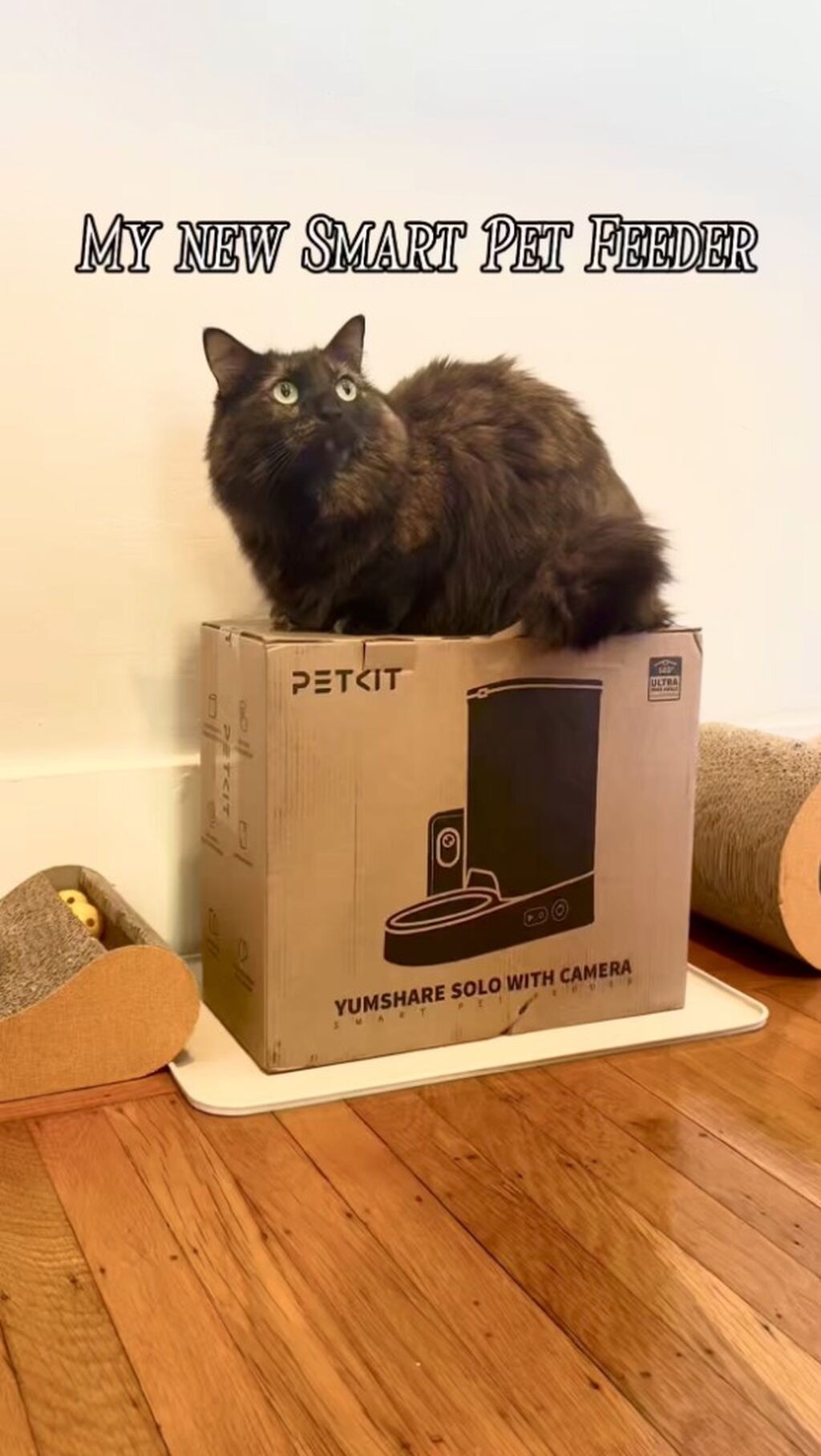  NEW PetKit Smart Pet Feeder