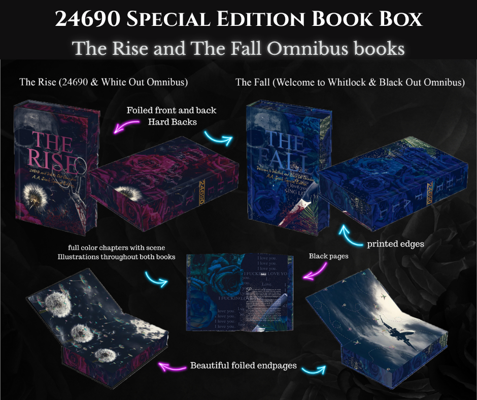 Rise And Fall Special Edition book box