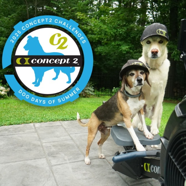 DOG DAYS OF SUMMER CHALLENGE, DEL 1 AL 28 DE AGOSTO