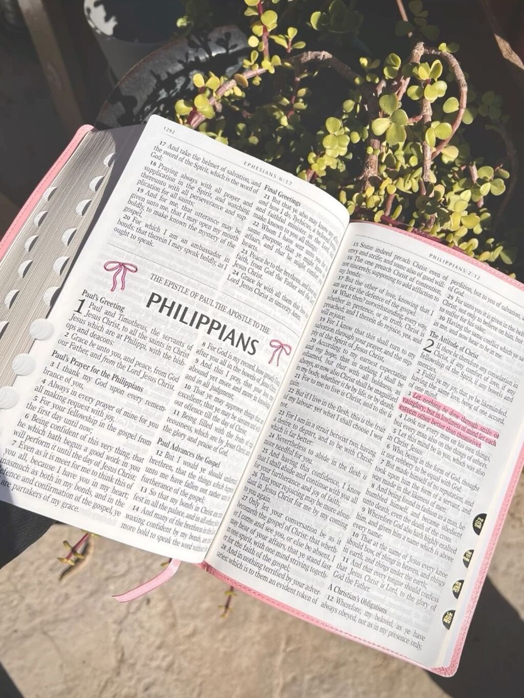 Bible Study Notes 