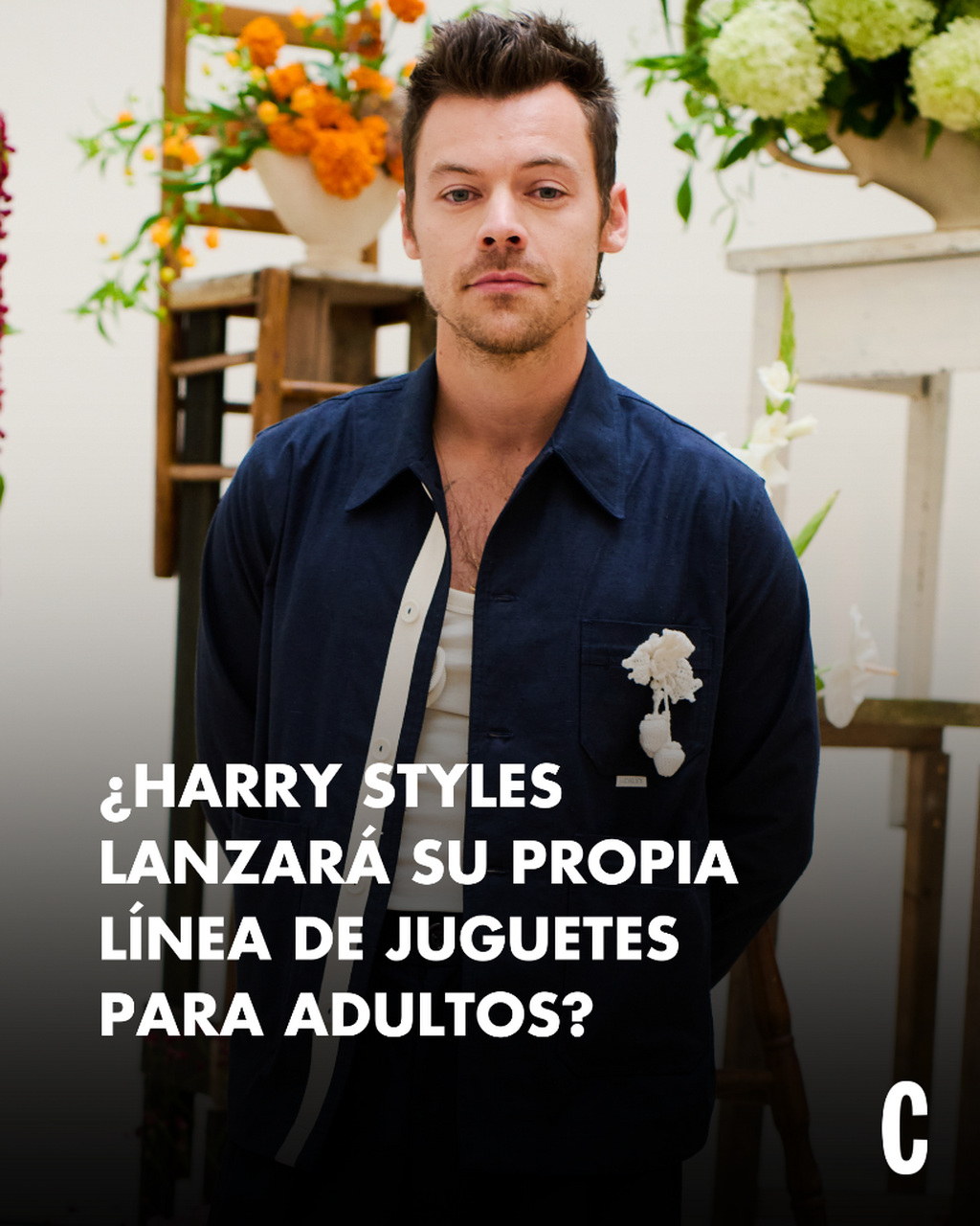 &iquest;Harry Styles lanzar&aacute; su propia l&iacute;nea de juguetes sexuales?