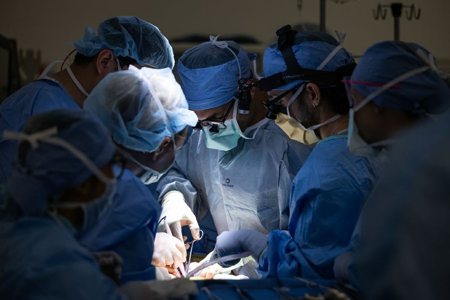 World&rsquo;s first human bladder transplant performed at UCLA