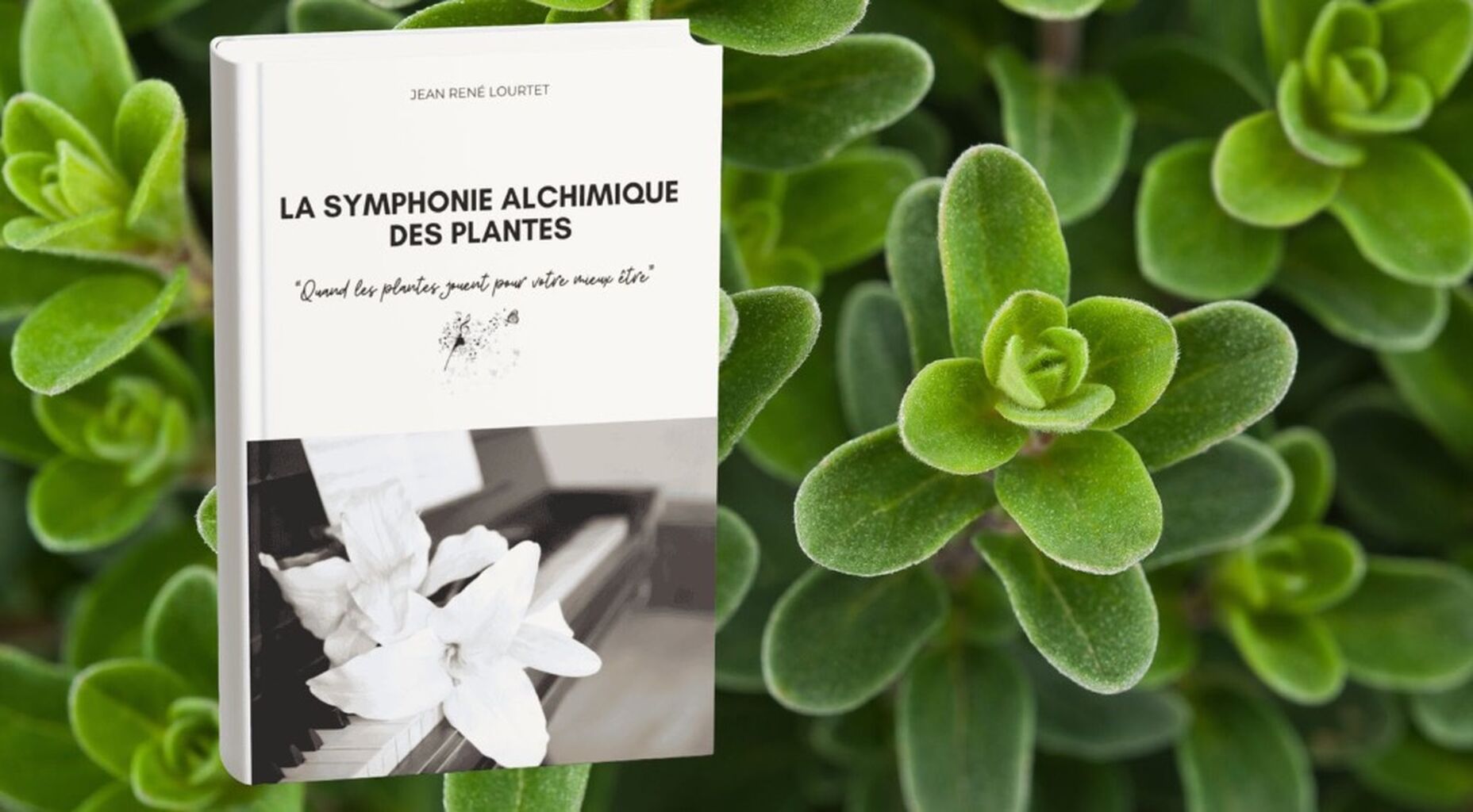 Livre &laquo;&nbsp;La symphonie alchimique des plantes&nbsp;&raquo;