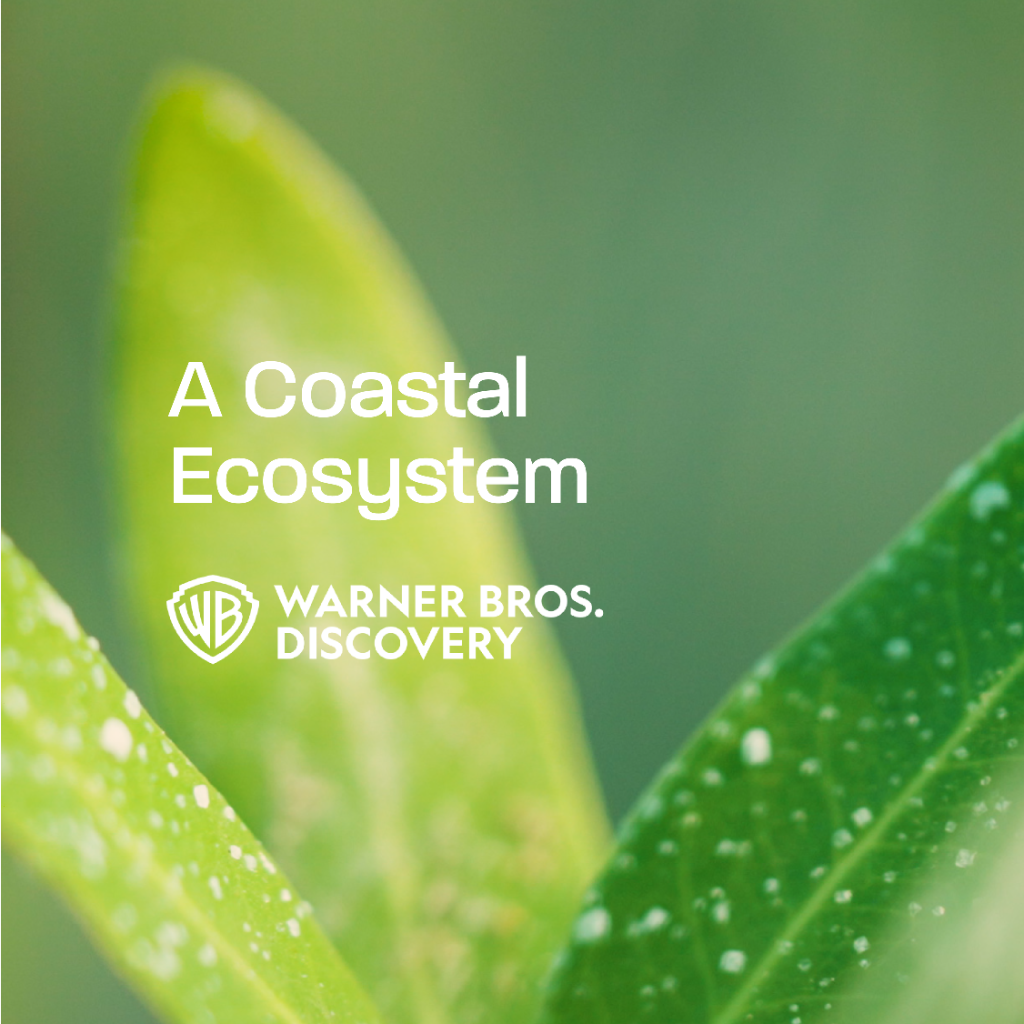 A Coastal Ecosystem