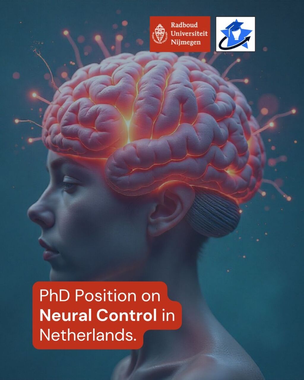 Neural Control PhD at Netherlands