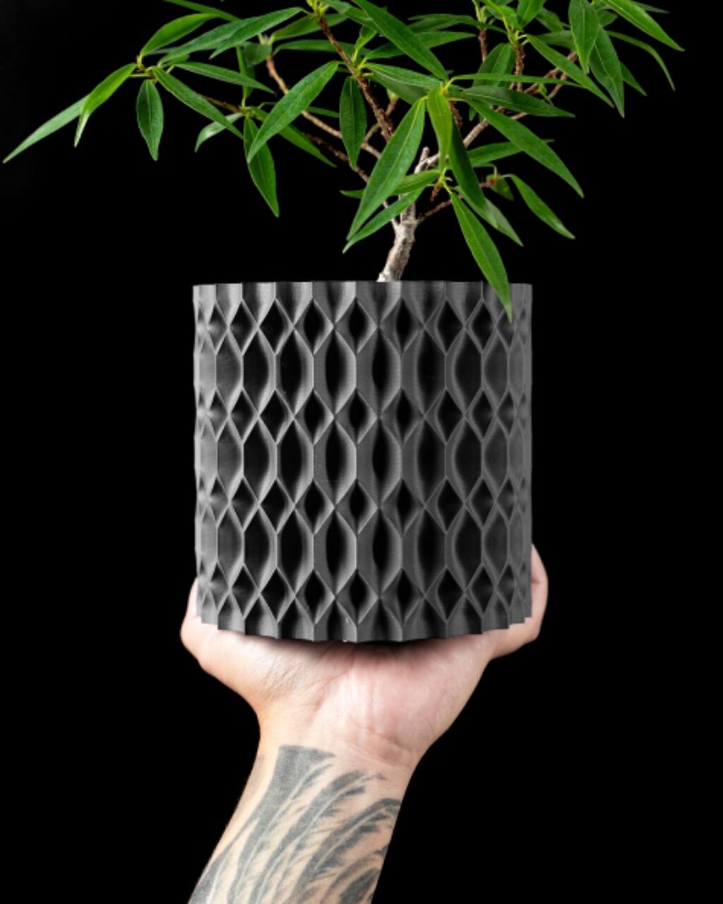Rhon Planter Pot