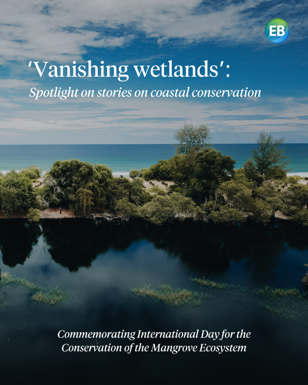Vanishing wetlands: Spotlight on stories on coastal conservation