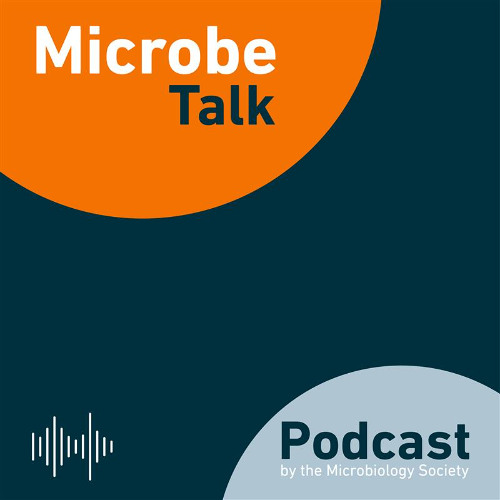 Chemical Conversations: Exploring the gut:brain link in bipolar treatments