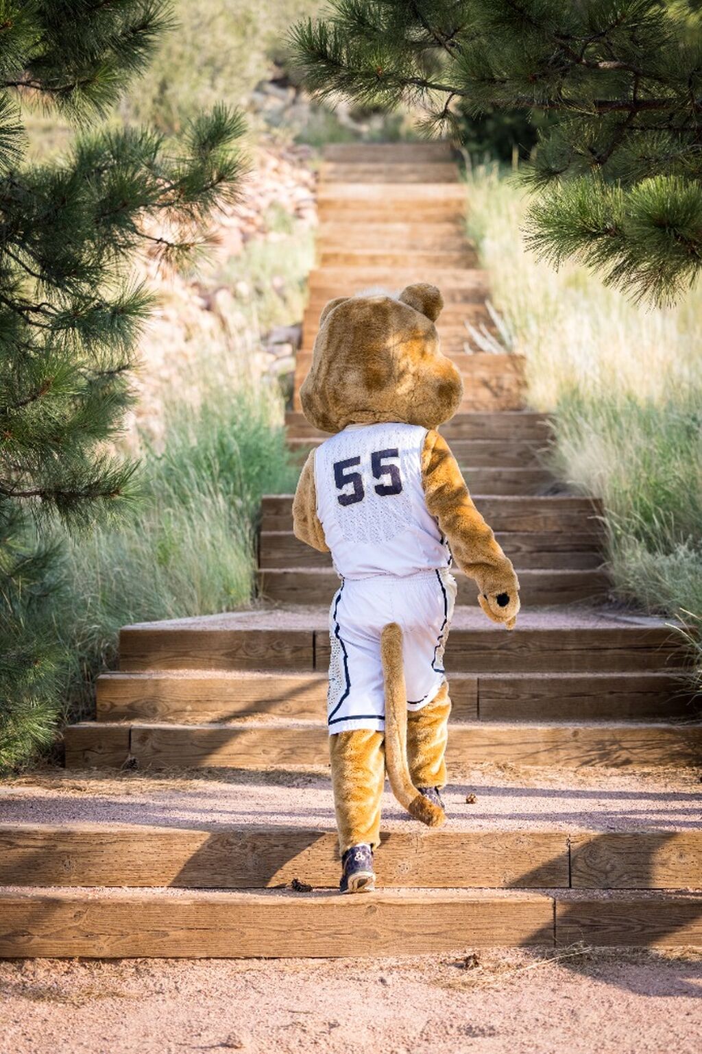 Learn more about the trails on the UCCS campus!